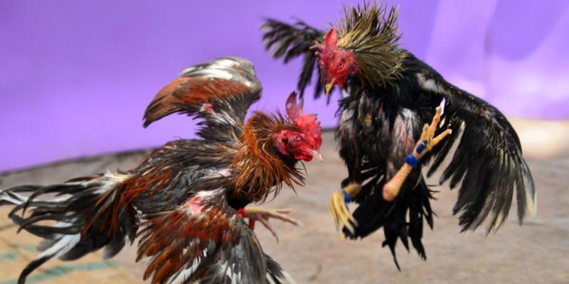 Thời gian thi đấu không giới hạn